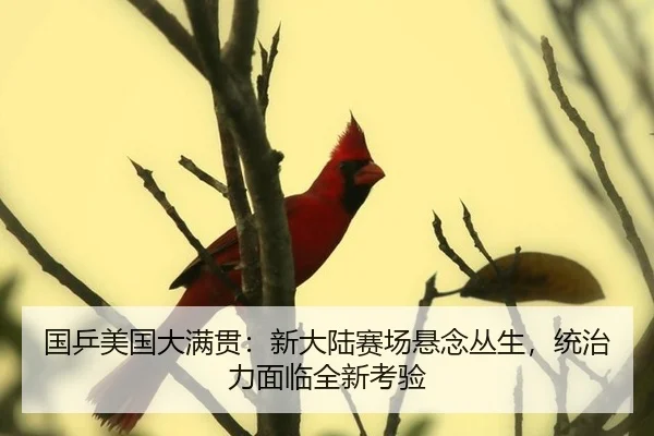 国乒美国大满贯：新大陆赛场悬念丛生，统治力面临全新考验